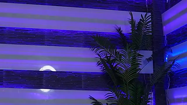 Miss_Denisse's cam snapshot