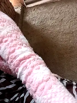 Rashili_jaan's cam snapshot