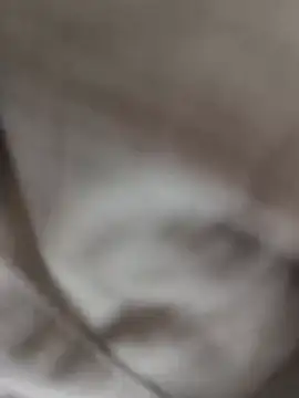 Jetengine live sex cam