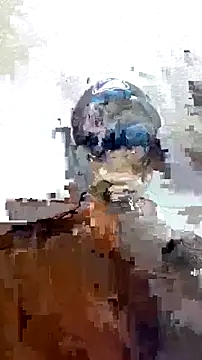 Thomasjons_'s cam snapshot