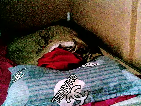 Cutenique's cam snapshot