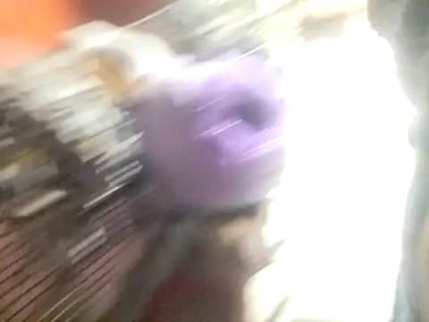 kitty_pi's cam snapshot