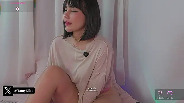 Tamyeliot's cam snapshot