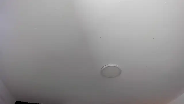 ShaniaDaniels's cam snapshot