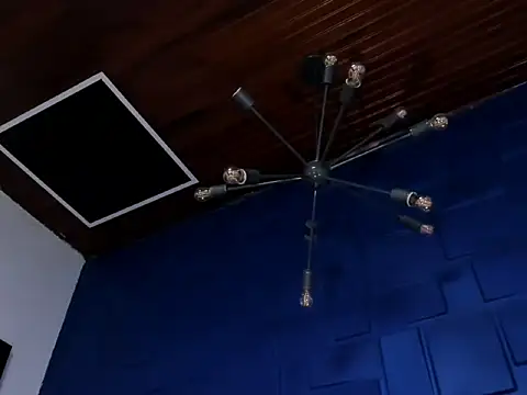 king_falconer's cam snapshot