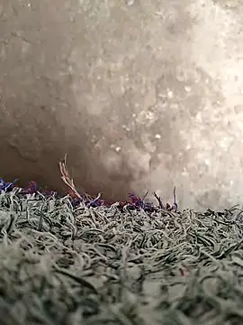 Raj-rajendri__sexy24 live sex cam