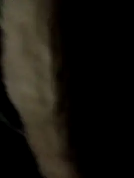 ySqmbVanbe's cam snapshot