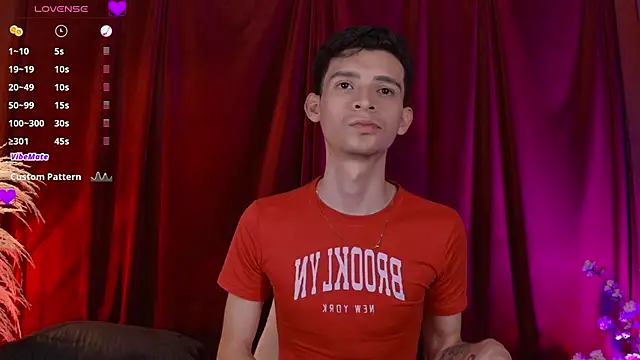 VicenteFerrer's cam snapshot