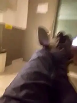 marretahello live sex cam