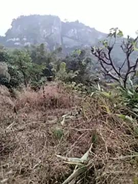 galaxy898's cam snapshot