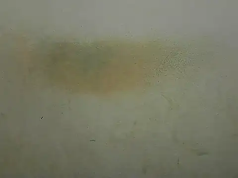 Drshodow864's cam snapshot