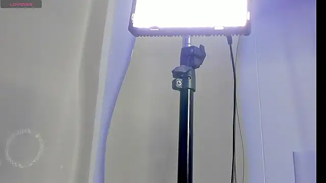 Vahl_-'s cam snapshot