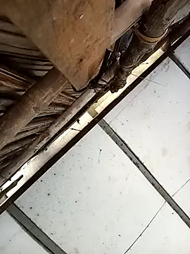 Lin-kute98's cam snapshot