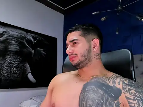 king_falconer's cam snapshot