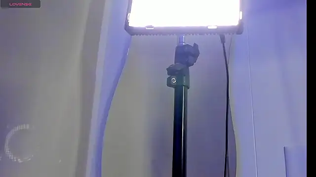 Vahl_-'s cam snapshot