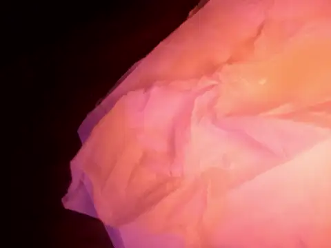 Facummmmmmmmmm live sex cam