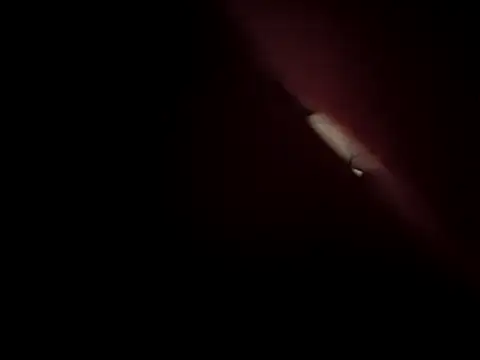 Sarjazmin live sex cam