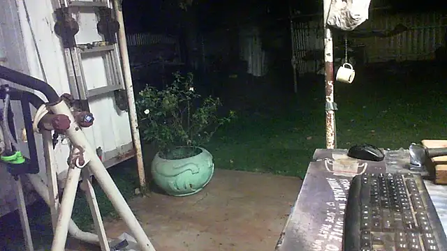 herbie010666 live sex cam