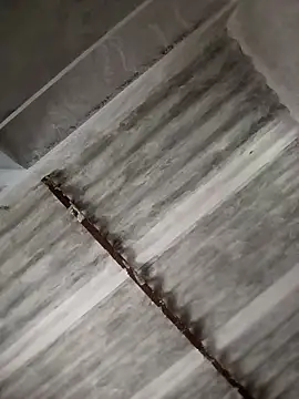 Payal950's cam snapshot