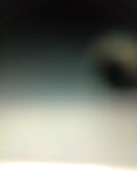 piggylatino's cam snapshot