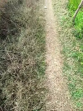 Ragnorok01's cam snapshot