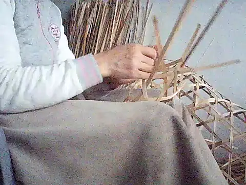 melamai live sex cam