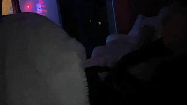 dddasani's cam snapshot