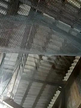 kata-00's cam snapshot