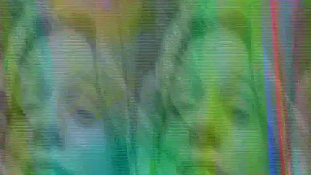 AuraNevera's cam snapshot