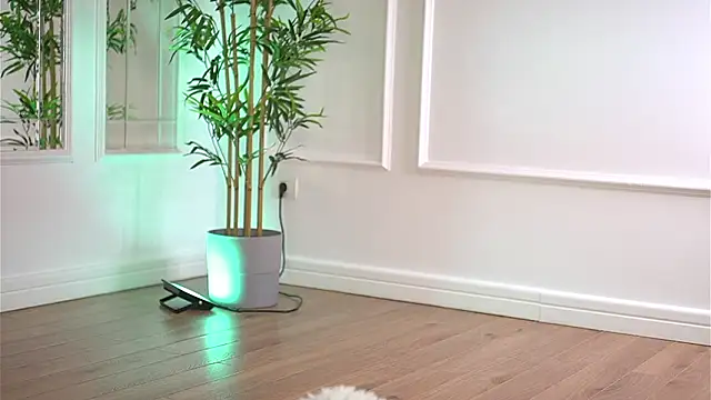 Cherrysweett live sex cam