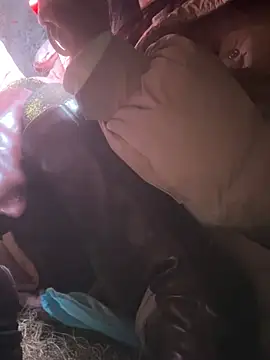 luna-sisi live sex cam