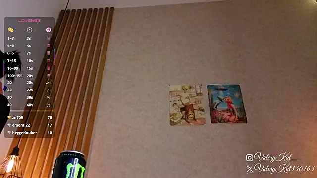 Valerykat_'s cam snapshot