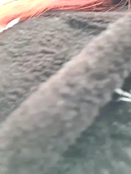 BlueHOT-MILf's cam snapshot