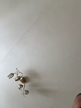 RIDER4444F live sex cam