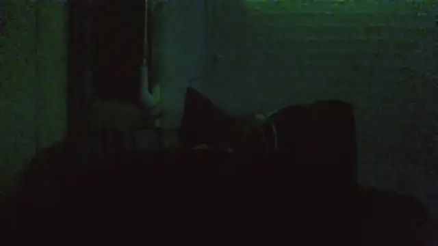 jaxx12369 live sex cam