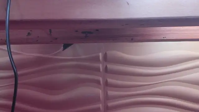 Venus_Bms_'s cam snapshot