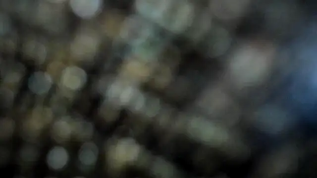 heer_the_queen's cam snapshot