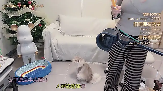 babykitty- live sex cam