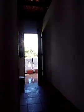 Tequilamaster live sex cam