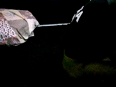 honeypotsweet's cam snapshot