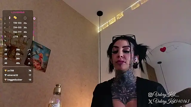Valerykat_'s cam snapshot