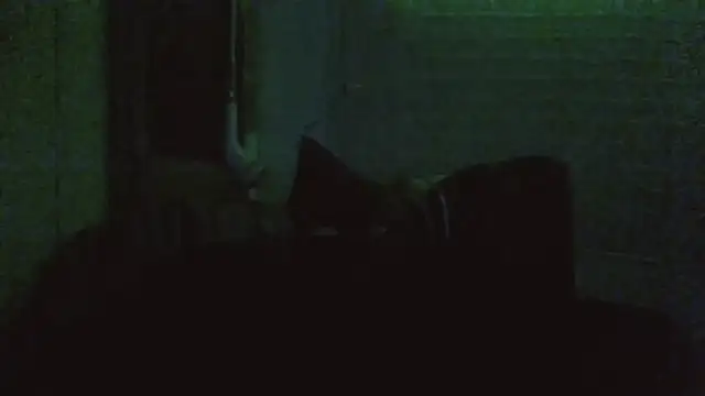 jaxx12369 live sex cam