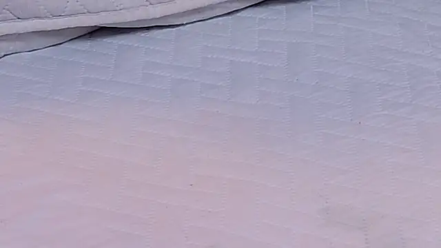 ambar_rosse25's cam snapshot