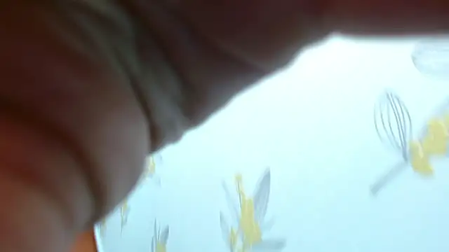 Laia_white's cam snapshot