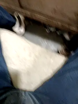 Bigdogdick19 live sex cam