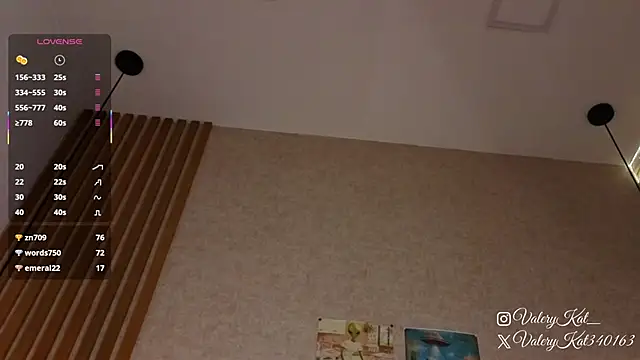 Valerykat_'s cam snapshot