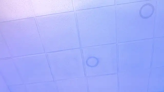 _Angelaa_'s cam snapshot