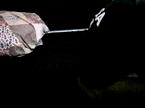 honeypotsweet's cam snapshot