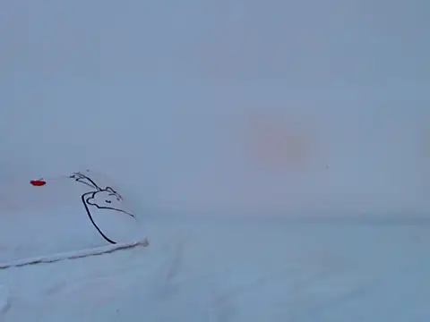 HONEYxPOT's cam snapshot