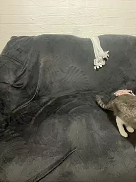 AlisRoxy's cam snapshot